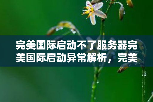 完美国际启动不了服务器完美国际启动异常解析图片