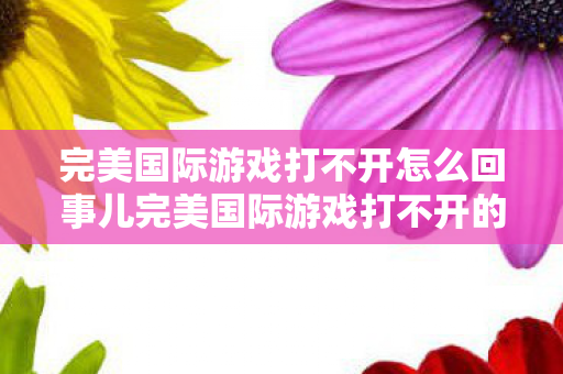 完美国际游戏打不开怎么回事儿完美国际游戏打不开的解决方法图片