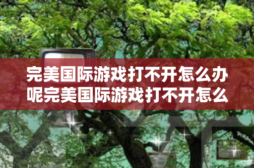 完美国际游戏打不开怎么办呢完美国际游戏打不开怎么办图片