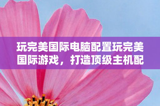 玩完美国际电脑配置玩完美国际游戏图片