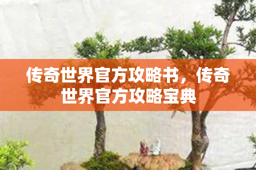 传奇世界官方攻略宝典图片