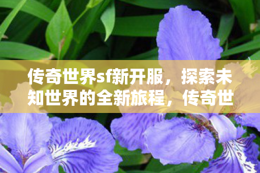 开启探索未知世界的全新旅程图片