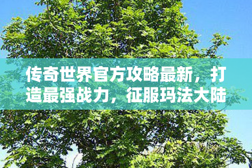 传奇世界官方攻略最新图片