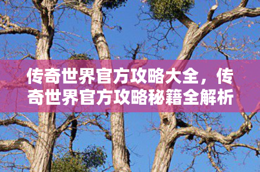 传奇世界官方攻略秘籍全解析图片