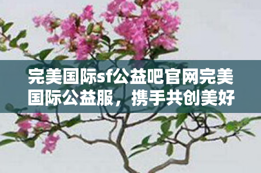 完美国际sf公益吧官网完美国际公益服，携手共创美好未来，完美国际公益服携手共创美好未来