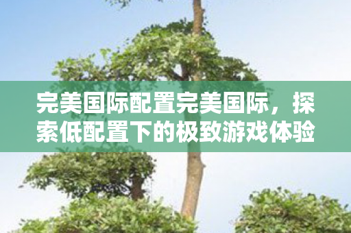 探索低配置下的极致游戏体验图片