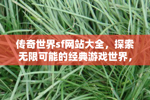 探索无限可能的经典游戏世界图片