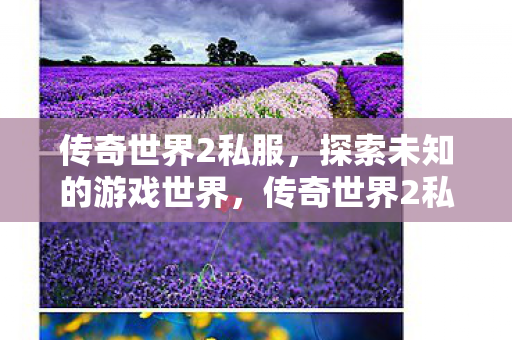 探索未知的游戏世界图片