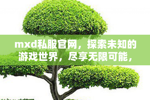mxd私服官网，探索未知的游戏世界，尽享无限可能，探索Mxd私服官网，开启无限游戏可能