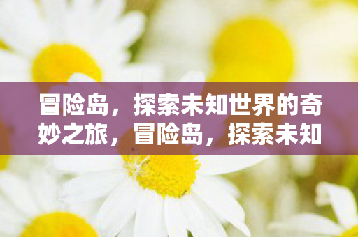 冒险岛，探索未知世界的奇妙之旅，冒险岛，探索未知世界的奇妙之旅