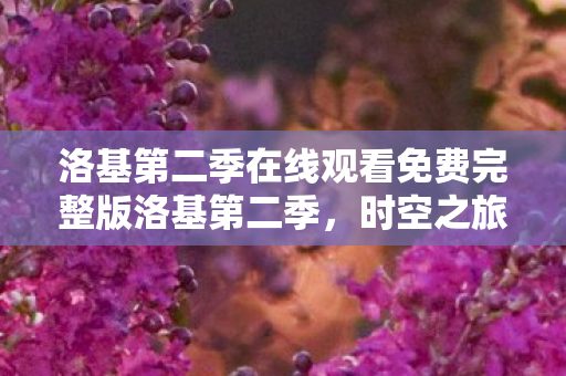 洛基第二季在线观看免费完整版洛基第二季图片
