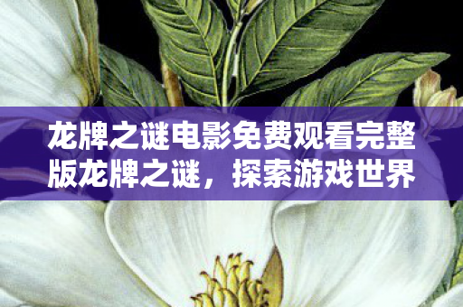 龙牌之谜电影免费观看完整版龙牌之谜图片