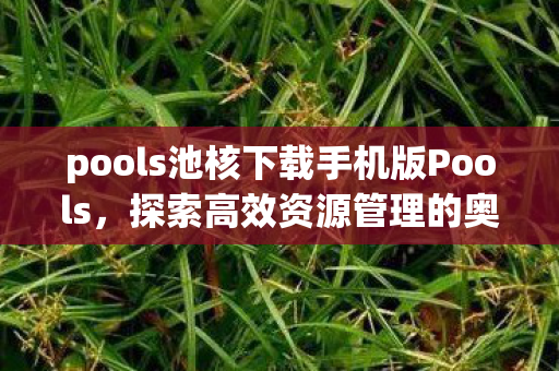 pools池核下载手机版Pools图片