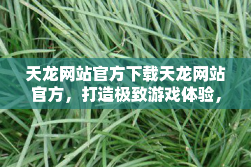 天龙网站官方下载天龙网站官方图片