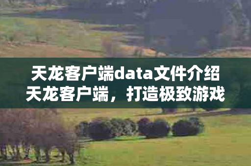 天龙客户端data文件介绍天龙客户端图片