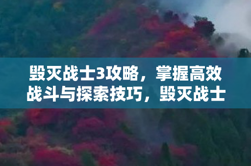 掌握高效战斗与探索技巧全攻略图片