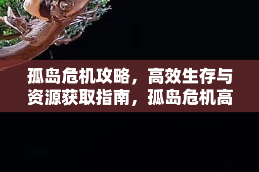 孤岛危机高效生存与资源获取攻略图片