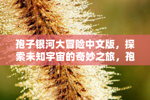 探索未知宇宙的奇妙之旅图片