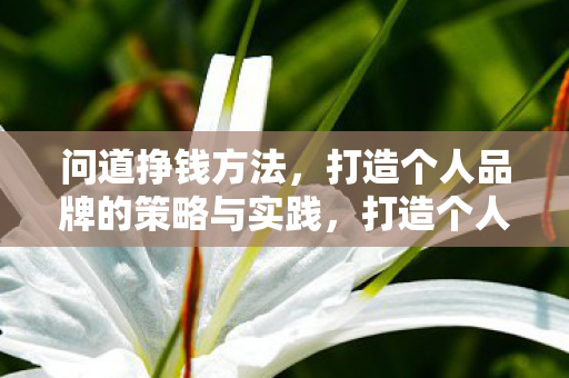 问道挣钱方法,打造个人品牌的策略与实践,打造个人品牌,问道挣钱方法与策略实践 问道挣钱方法,打造个人品牌的策略与实践,打造个人品牌,问道挣钱方法与策略实践