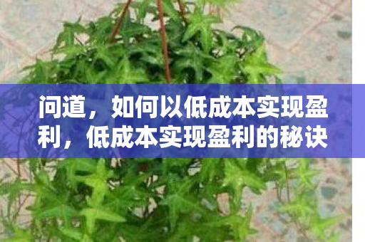 问道,如何以低成本实现盈利,低成本实现盈利的秘诀 问道,如何以低成本实现盈利,低成本实现盈利的秘诀