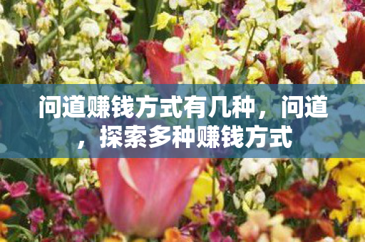 问道赚钱方式有几种,问道,探索多种赚钱方式 问道赚钱方式有几种,问道,探索多种赚钱方式
