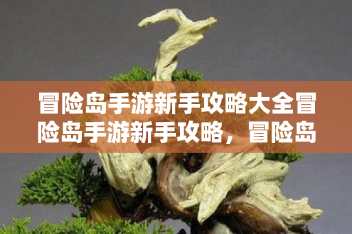 冒险岛手游新手攻略大全冒险岛手游新手攻略，冒险岛手游新手攻略全解析