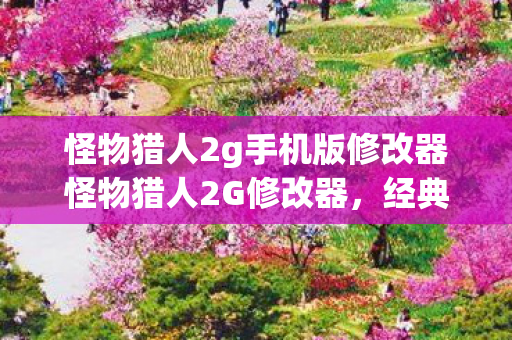 怪物猎人2g手机版修改器怪物猎人2G修改器图片