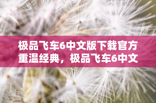极品飞车6中文版下载官方重温经典图片