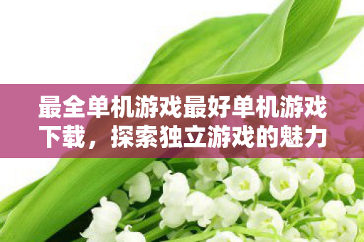 最全单机游戏最好单机游戏下载图片