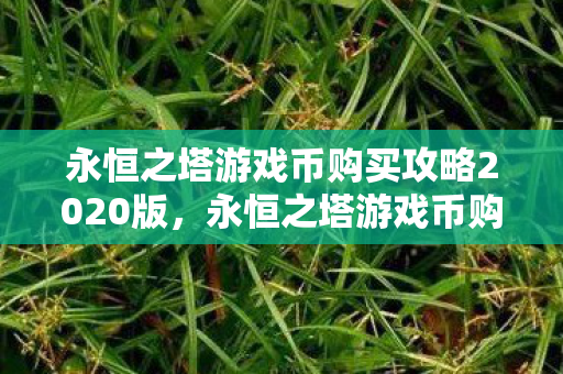 永恒之塔游戏币购买攻略2020版图片