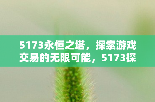 5173探索永恒之塔游戏交易新可能图片