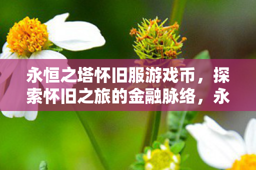 探索怀旧之旅的金融脉络图片