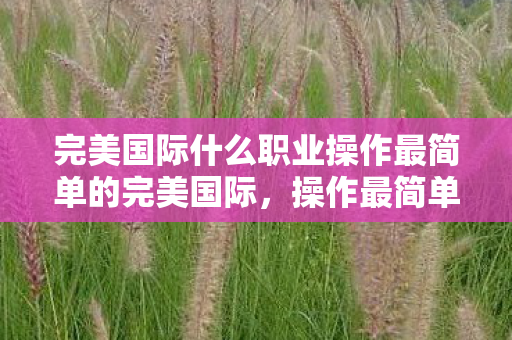 完美国际什么职业操作最简单的完美国际图片