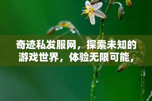 探索未知的游戏世界图片