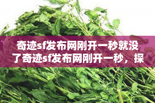 奇迹sf发布网刚开一秒就没了奇迹sf发布网刚开一秒图片