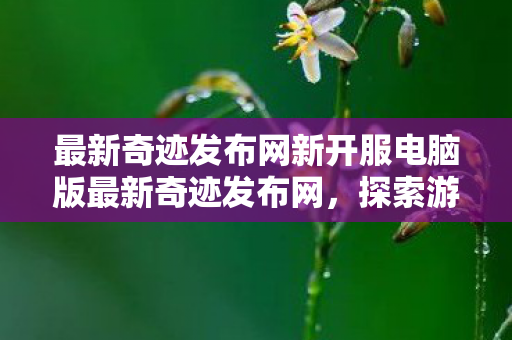 最新奇迹发布网新开服电脑版最新奇迹发布网图片