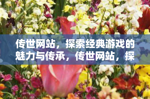 探索经典游戏的魅力与传承图片