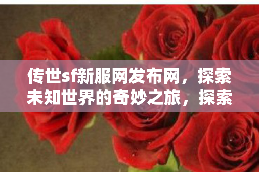 探索未知世界的奇妙之旅图片