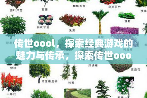 探索传世oool的经典游戏魅力与传承图片