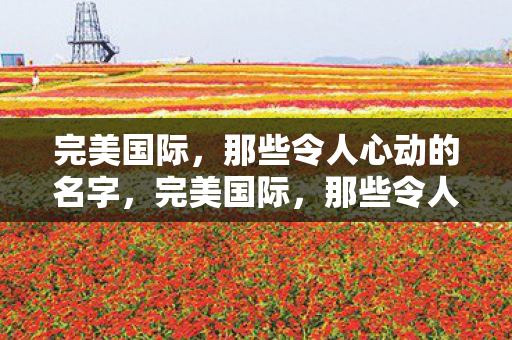 那些令人心动的名字图片