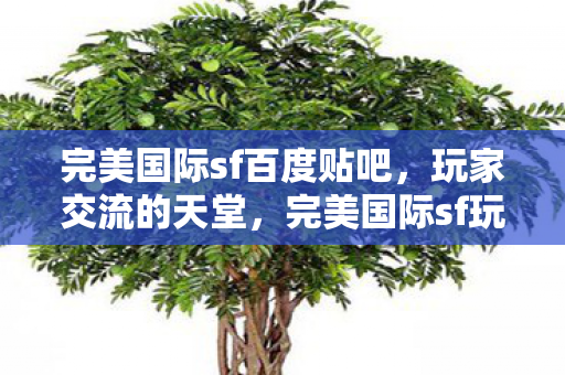 完美国际sf玩家交流天堂图片