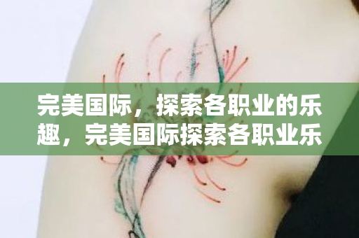 完美国际探索各职业乐趣图片
