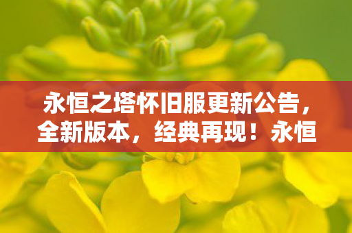 永恒之塔怀旧服全新版本上线图片