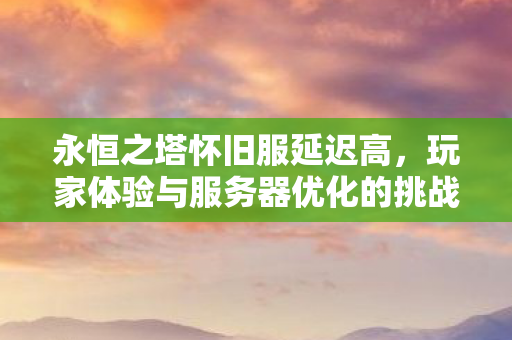 玩家体验与服务器优化的挑战图片