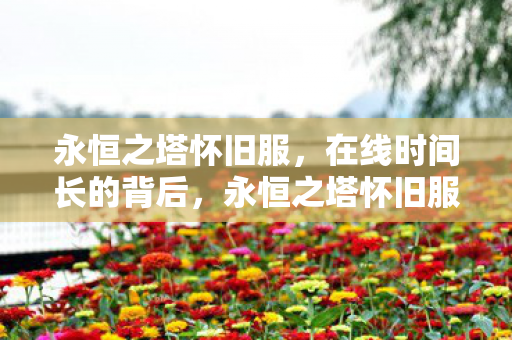 揭秘玩家在线时间长的背后原因图片