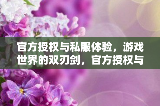 官方授权与私服体验图片
