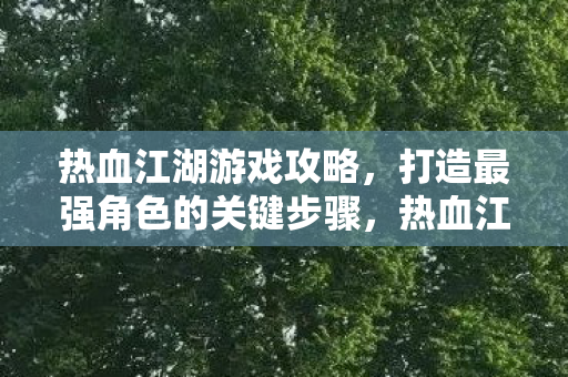热血江湖游戏攻略,打造最强角色的关键步骤,热血江湖游戏攻略,打造最强角色的关键步骤 热血江湖游戏攻略,打造最强角色的关键步骤,热血江湖游戏攻略,打造最强角色的关键步骤