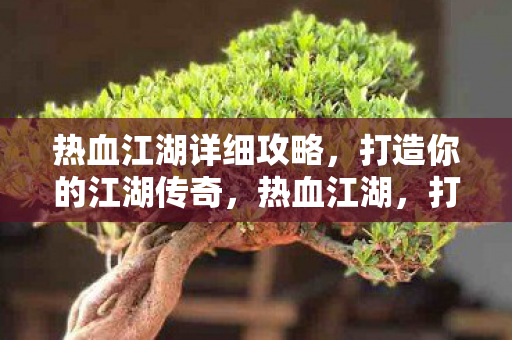 热血江湖详细攻略,打造你的江湖传奇,热血江湖,打造你的江湖传奇攻略 热血江湖详细攻略,打造你的江湖传奇,热血江湖,打造你的江湖传奇攻略