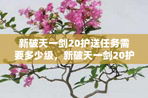 新破天一剑20护送任务需要多少级,新破天一剑20护送任务所需等级 新破天一剑20护送任务需要多少级,新破天一剑20护送任务所需等级