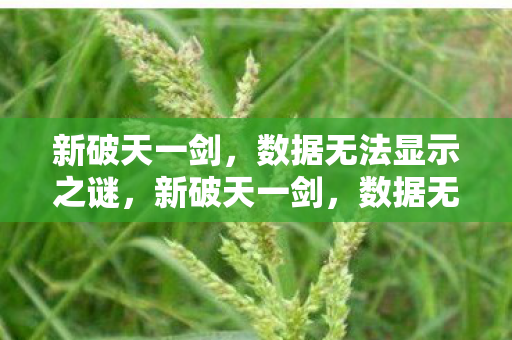 新破天一剑,数据无法显示之谜,新破天一剑,数据无法显示之谜 新破天一剑,数据无法显示之谜,新破天一剑,数据无法显示之谜